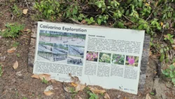 Coney Island Svg+xml,%3Csvg%20xmlns%3D%22http%3A%2F%2Fwww.w3