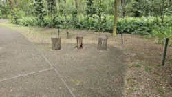 Coney Island Svg+xml,%3Csvg%20xmlns%3D%22http%3A%2F%2Fwww.w3