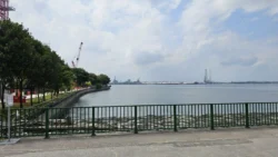 Coney Island Svg+xml,%3Csvg%20xmlns%3D%22http%3A%2F%2Fwww.w3