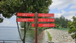 Coney Island Svg+xml,%3Csvg%20xmlns%3D%22http%3A%2F%2Fwww.w3