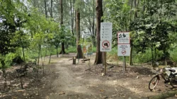 Coney Island Svg+xml,%3Csvg%20xmlns%3D%22http%3A%2F%2Fwww.w3