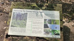 Coney Island Svg+xml,%3Csvg%20xmlns%3D%22http%3A%2F%2Fwww.w3