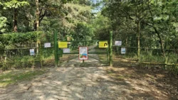 Coney Island Svg+xml,%3Csvg%20xmlns%3D%22http%3A%2F%2Fwww.w3