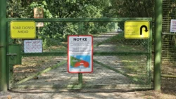 Coney Island Svg+xml,%3Csvg%20xmlns%3D%22http%3A%2F%2Fwww.w3