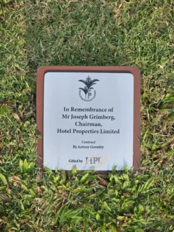 Singapore Botanic Gardens Svg+xml,%3Csvg%20xmlns%3D%22http%3A%2F%2Fwww.w3