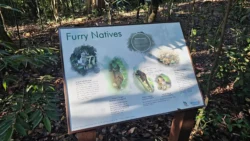 Lower Peirce Reservoir Svg+xml,%3Csvg%20xmlns%3D%22http%3A%2F%2Fwww.w3