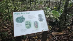 Lower Peirce Reservoir Svg+xml,%3Csvg%20xmlns%3D%22http%3A%2F%2Fwww.w3