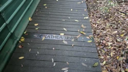 Lower Peirce Reservoir Svg+xml,%3Csvg%20xmlns%3D%22http%3A%2F%2Fwww.w3