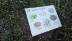 Lower Peirce Reservoir Svg+xml,%3Csvg%20xmlns%3D%22http%3A%2F%2Fwww.w3