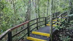 Lower Peirce Reservoir Svg+xml,%3Csvg%20xmlns%3D%22http%3A%2F%2Fwww.w3