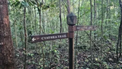 Lower Peirce Reservoir Svg+xml,%3Csvg%20xmlns%3D%22http%3A%2F%2Fwww.w3