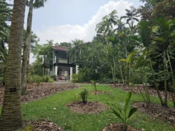 Singapore Botanic Gardens Svg+xml,%3Csvg%20xmlns%3D%22http%3A%2F%2Fwww.w3