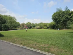 Singapore Botanic Gardens Svg+xml,%3Csvg%20xmlns%3D%22http%3A%2F%2Fwww.w3