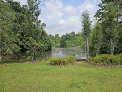 Singapore Botanic Gardens Svg+xml,%3Csvg%20xmlns%3D%22http%3A%2F%2Fwww.w3