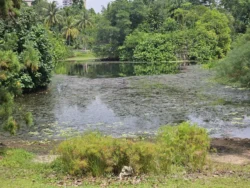 Singapore Botanic Gardens Svg+xml,%3Csvg%20xmlns%3D%22http%3A%2F%2Fwww.w3