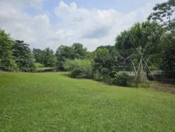 Singapore Botanic Gardens Svg+xml,%3Csvg%20xmlns%3D%22http%3A%2F%2Fwww.w3