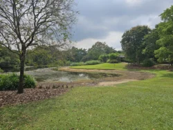 Singapore Botanic Gardens Svg+xml,%3Csvg%20xmlns%3D%22http%3A%2F%2Fwww.w3