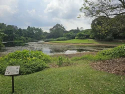 Singapore Botanic Gardens Svg+xml,%3Csvg%20xmlns%3D%22http%3A%2F%2Fwww.w3