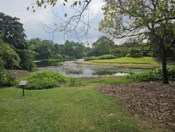 Singapore Botanic Gardens Svg+xml,%3Csvg%20xmlns%3D%22http%3A%2F%2Fwww.w3