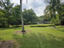 Singapore Botanic Gardens Svg+xml,%3Csvg%20xmlns%3D%22http%3A%2F%2Fwww.w3