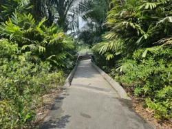 Singapore Botanic Gardens Svg+xml,%3Csvg%20xmlns%3D%22http%3A%2F%2Fwww.w3