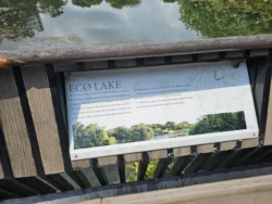 Singapore Botanic Gardens Svg+xml,%3Csvg%20xmlns%3D%22http%3A%2F%2Fwww.w3