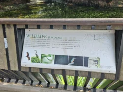 Singapore Botanic Gardens Svg+xml,%3Csvg%20xmlns%3D%22http%3A%2F%2Fwww.w3