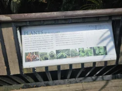 Singapore Botanic Gardens Svg+xml,%3Csvg%20xmlns%3D%22http%3A%2F%2Fwww.w3