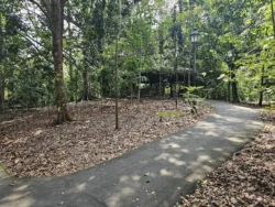 Singapore Botanic Gardens Svg+xml,%3Csvg%20xmlns%3D%22http%3A%2F%2Fwww.w3