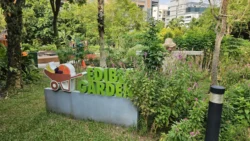 HortPark Svg+xml,%3Csvg%20xmlns%3D%22http%3A%2F%2Fwww.w3