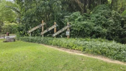 Bukit Batok Nature Park Svg+xml,%3Csvg%20xmlns%3D%22http%3A%2F%2Fwww.w3