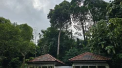 Bukit Batok Nature Park Svg+xml,%3Csvg%20xmlns%3D%22http%3A%2F%2Fwww.w3