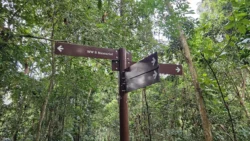 Bukit Batok Nature Park Svg+xml,%3Csvg%20xmlns%3D%22http%3A%2F%2Fwww.w3