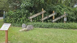 Bukit Batok Nature Park Svg+xml,%3Csvg%20xmlns%3D%22http%3A%2F%2Fwww.w3