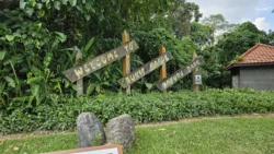 Bukit Batok Nature Park Svg+xml,%3Csvg%20xmlns%3D%22http%3A%2F%2Fwww.w3