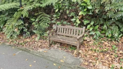 Bukit Batok Nature Park Svg+xml,%3Csvg%20xmlns%3D%22http%3A%2F%2Fwww.w3