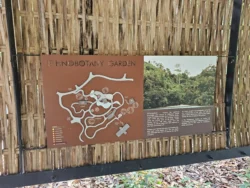 Singapore Botanic Gardens Svg+xml,%3Csvg%20xmlns%3D%22http%3A%2F%2Fwww.w3