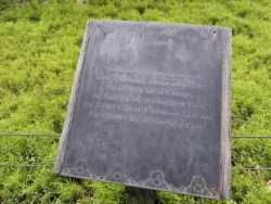 Singapore Botanic Gardens Svg+xml,%3Csvg%20xmlns%3D%22http%3A%2F%2Fwww.w3