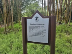 Singapore Botanic Gardens Svg+xml,%3Csvg%20xmlns%3D%22http%3A%2F%2Fwww.w3