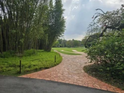 Singapore Botanic Gardens Svg+xml,%3Csvg%20xmlns%3D%22http%3A%2F%2Fwww.w3