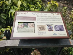 Singapore Botanic Gardens Svg+xml,%3Csvg%20xmlns%3D%22http%3A%2F%2Fwww.w3