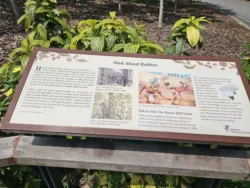 Singapore Botanic Gardens Svg+xml,%3Csvg%20xmlns%3D%22http%3A%2F%2Fwww.w3