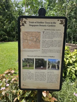 Singapore Botanic Gardens Svg+xml,%3Csvg%20xmlns%3D%22http%3A%2F%2Fwww.w3
