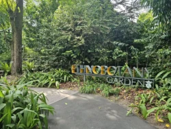 Singapore Botanic Gardens Svg+xml,%3Csvg%20xmlns%3D%22http%3A%2F%2Fwww.w3