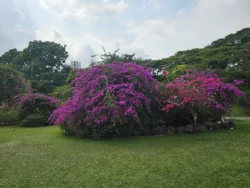 Singapore Botanic Gardens Svg+xml,%3Csvg%20xmlns%3D%22http%3A%2F%2Fwww.w3