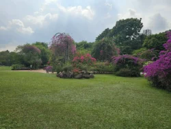 Singapore Botanic Gardens Svg+xml,%3Csvg%20xmlns%3D%22http%3A%2F%2Fwww.w3