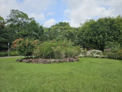 Singapore Botanic Gardens Svg+xml,%3Csvg%20xmlns%3D%22http%3A%2F%2Fwww.w3