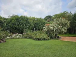 Singapore Botanic Gardens Svg+xml,%3Csvg%20xmlns%3D%22http%3A%2F%2Fwww.w3