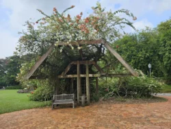 Singapore Botanic Gardens Svg+xml,%3Csvg%20xmlns%3D%22http%3A%2F%2Fwww.w3