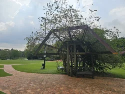 Singapore Botanic Gardens Svg+xml,%3Csvg%20xmlns%3D%22http%3A%2F%2Fwww.w3